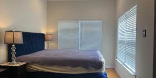 12579 ROYAL WOLF Place Gallery 10