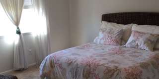 Beautiful 4-Bedroom Home South Fort Collins! Gallery 8