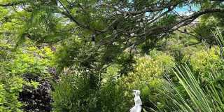 Azari PM-Juccuzi- half acre luxurious landscape-fully chic furniture -  massive lot , 18 fruit tree - Juccuzi - short term or long term - furnished or unfurnished - Massive Lot, Private Cul-de-sac location, Ocean Views Grandeur Gallery 31