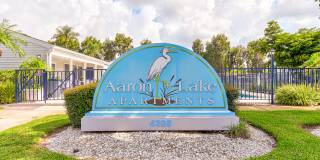 Aaron Lake Gallery 37