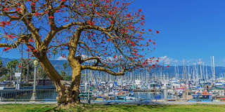 122 Santa Rosa Place Gallery 22