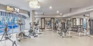 Camden Carolinian Gallery 24