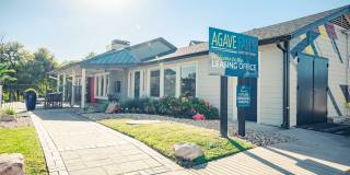 Agave Falls Gallery 5