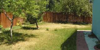 <b>Three Bedroom Single Story SE Reno Home<br><br> Gallery 11