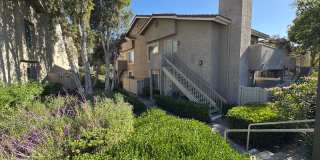 2Bed - 2Bath ground level Gallery 1