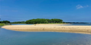 1875 Bayview Avenue Gallery 16