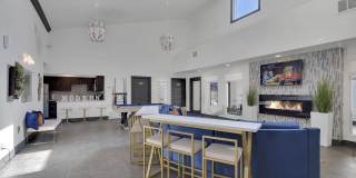 The Modern Gallery 47