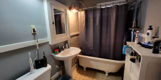 Well Care for Century Home Within Walking Distance to U of I, Downtown, & Multiple Parks Gallery 11