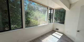 3 Bed 2 Bath Condo & Pool Access! Gallery 10