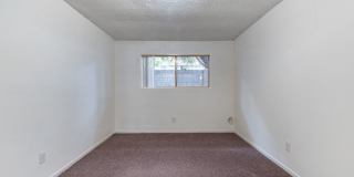 Prospera Village Gallery 21