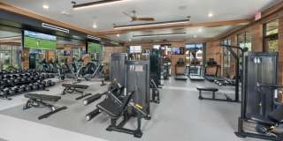 Timberline View Gallery 23