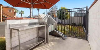 Harvest in Tracy Gallery 47