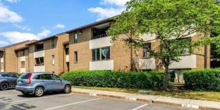 527 FLORIDA Avenue Gallery 19