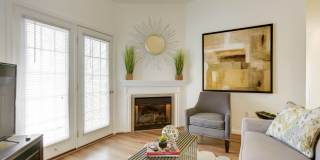 Lee Trace Gallery 5