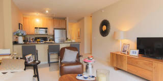 296 North Desplaines Gallery 1