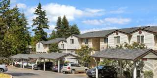 ReNew Waterview Gallery 42