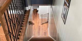 House For Lease Gallery 14