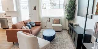 Zenn Skyview Gallery 1