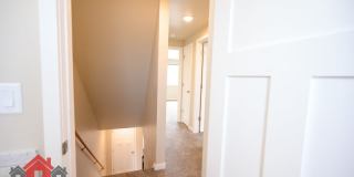 2022 Terry Lane Gallery 15