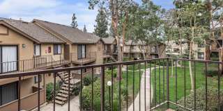 Mountain Springs Gallery 43