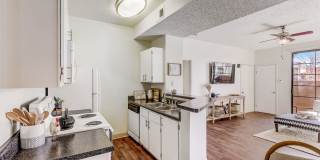 Desert Ridge Gallery 13
