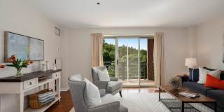 273 Cambridge Rd Gallery 1