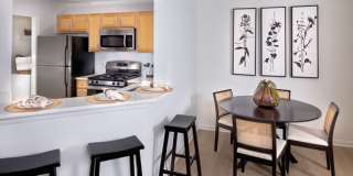 J Harbor Park at North Point Gallery 6