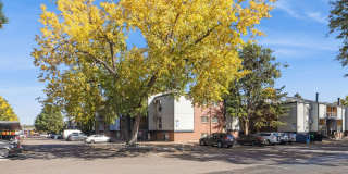 ReNew Pinehurst Gallery 42