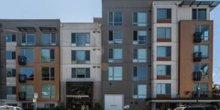 The Prescott Gallery 30