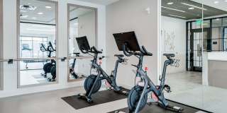 Nolan Mains Gallery 73