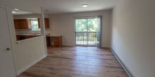 Charming and Spacious South Side 3-Bedroom Duplex Gallery 6