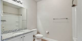 -- Gallery 14