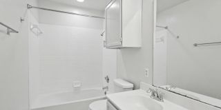 3611 Dorothy Jane Dr Gallery 16