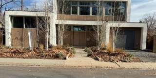 Silver Maple Stunning Gallery 1