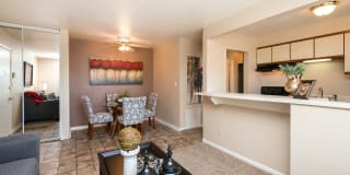 Rose Vista Gallery 11