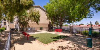 Amara Spring Valley Apartments Gallery 28