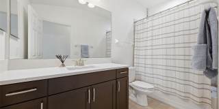 11539 CROWNED SPARROW LANE 11539 CROWNED SPARROW LANE Gallery 22