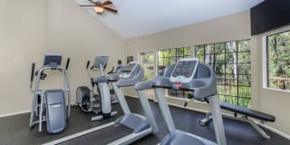 Spring Lakes Apartment Homes Gallery 15