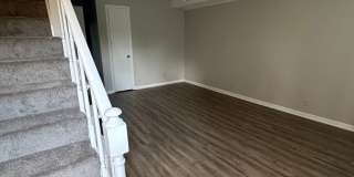 Forest Park Gallery 1