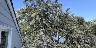 3037 Cambridge Road #B Gallery 28