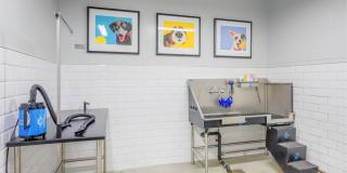 The Dillon Gallery 37