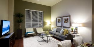 Hanover Rice Village Gallery 27