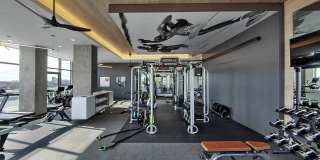 The Victor Gallery 6