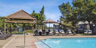 Skyline at Murrayhill Gallery 12