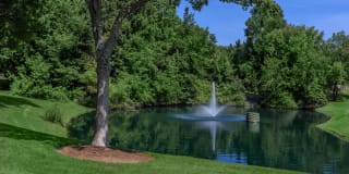 Huntsview Apartments Gallery 4
