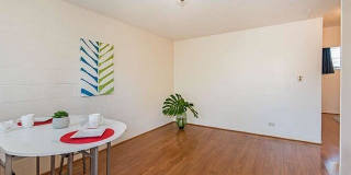 Wilder Hale in Makiki Gallery 1