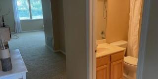 2543 WILLOW CREEK Drive Gallery 41