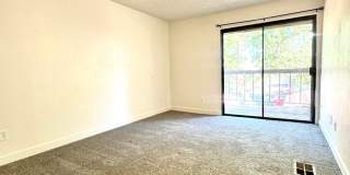 Beautiful Condo For Rent Gallery 10