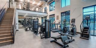 The Storey Gallery 17