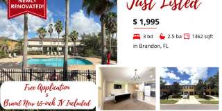 2516 Oleander Lakes Drive 2516 Oleander Lakes Drive Gallery 1